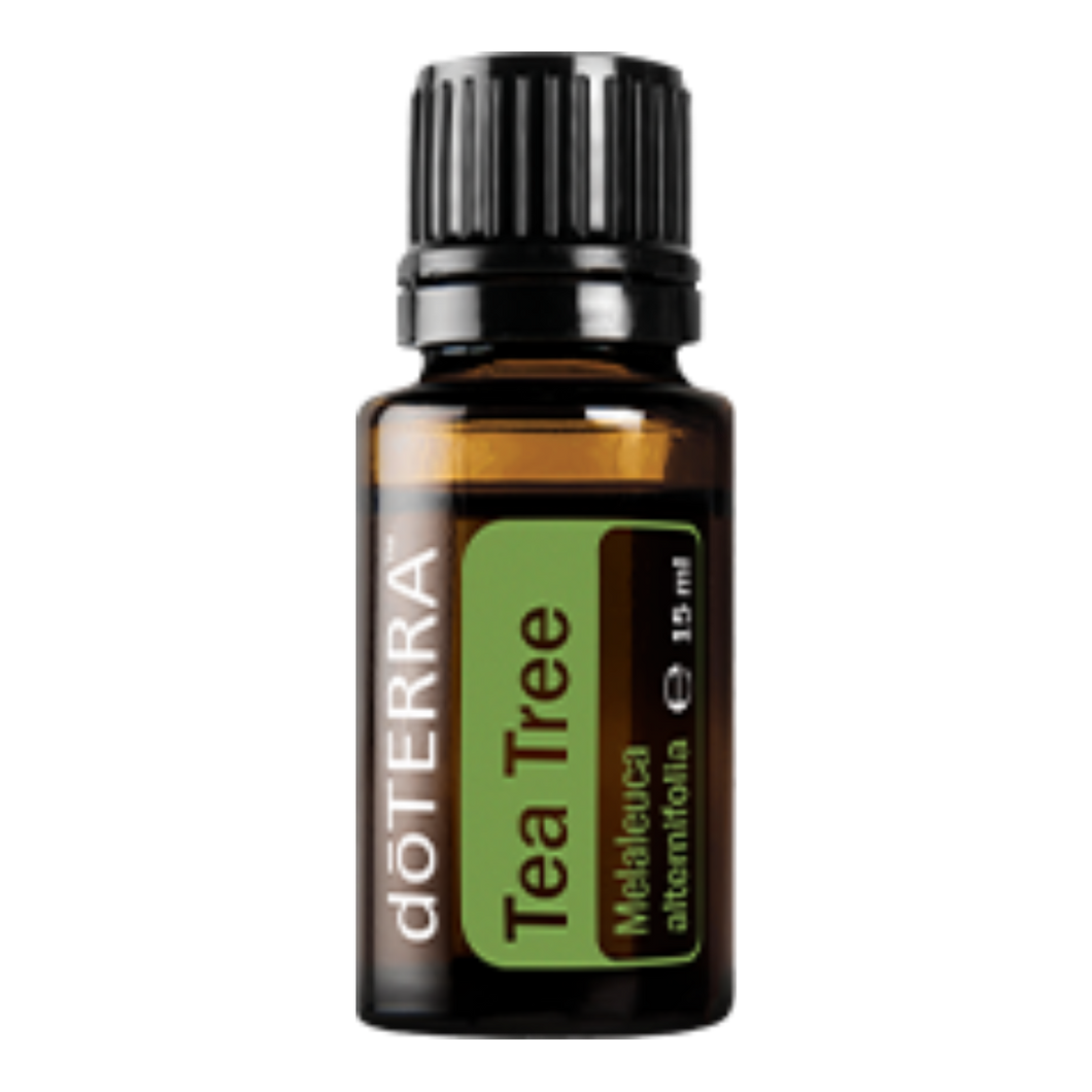 Aceite esencial de dōTERRA Melaleuca (árbol de té) - 15 ml